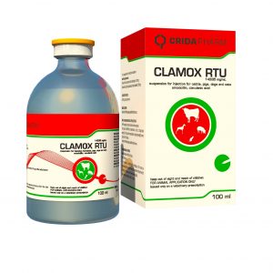 Clamox RTU injekció 100ml