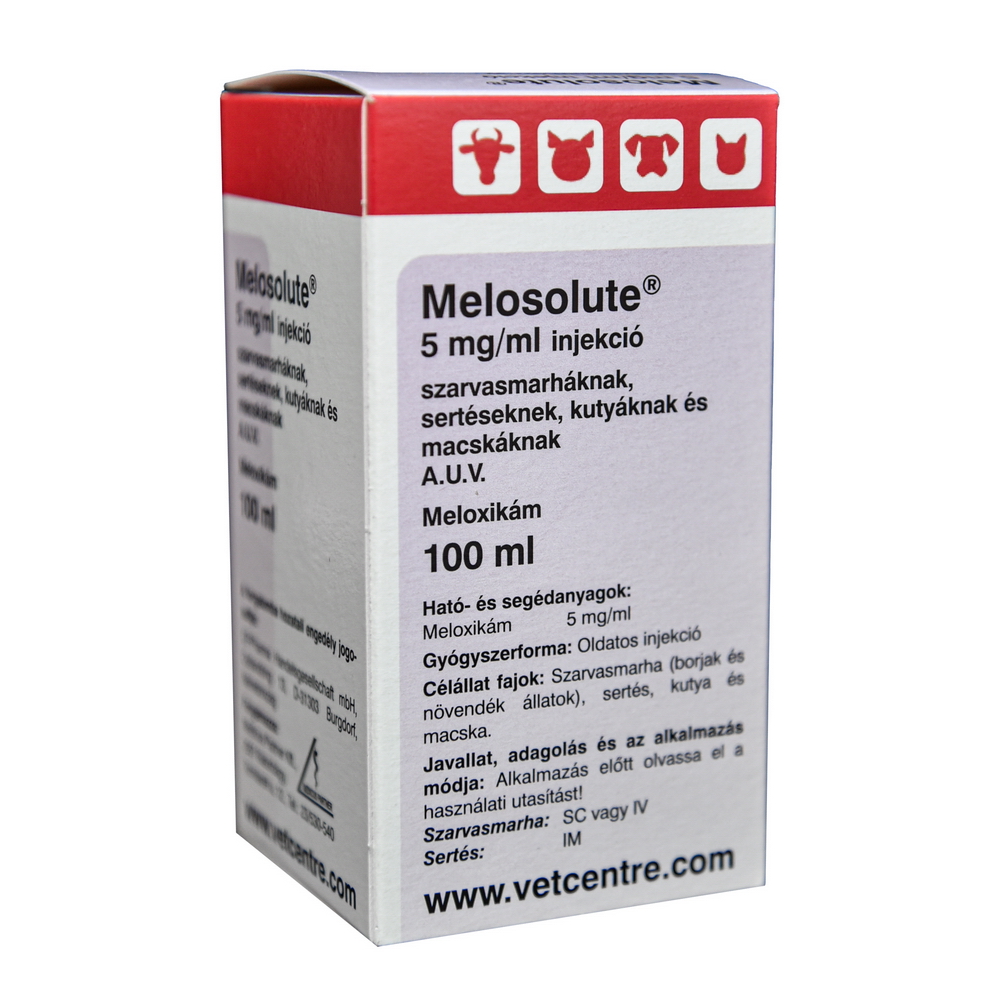 Melosolute 5mg/ml inj. 100ml