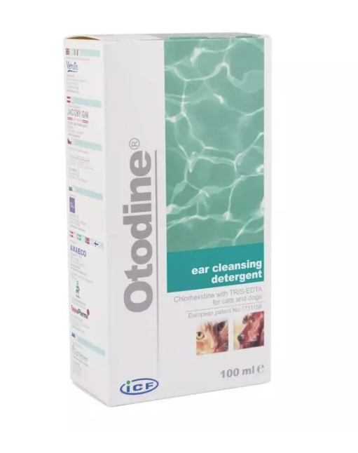 Otodine-100 ml